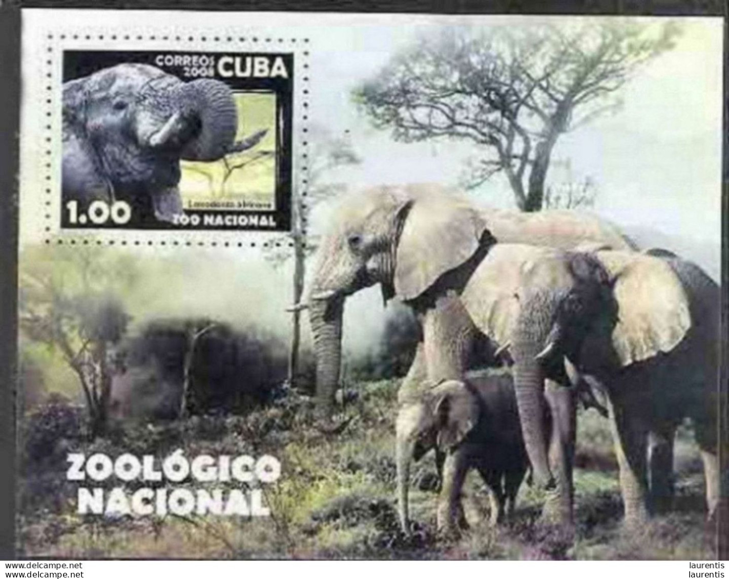 1295  Elephants -  Zoo - 2008 - No Gum - 0,95 - Elefantes