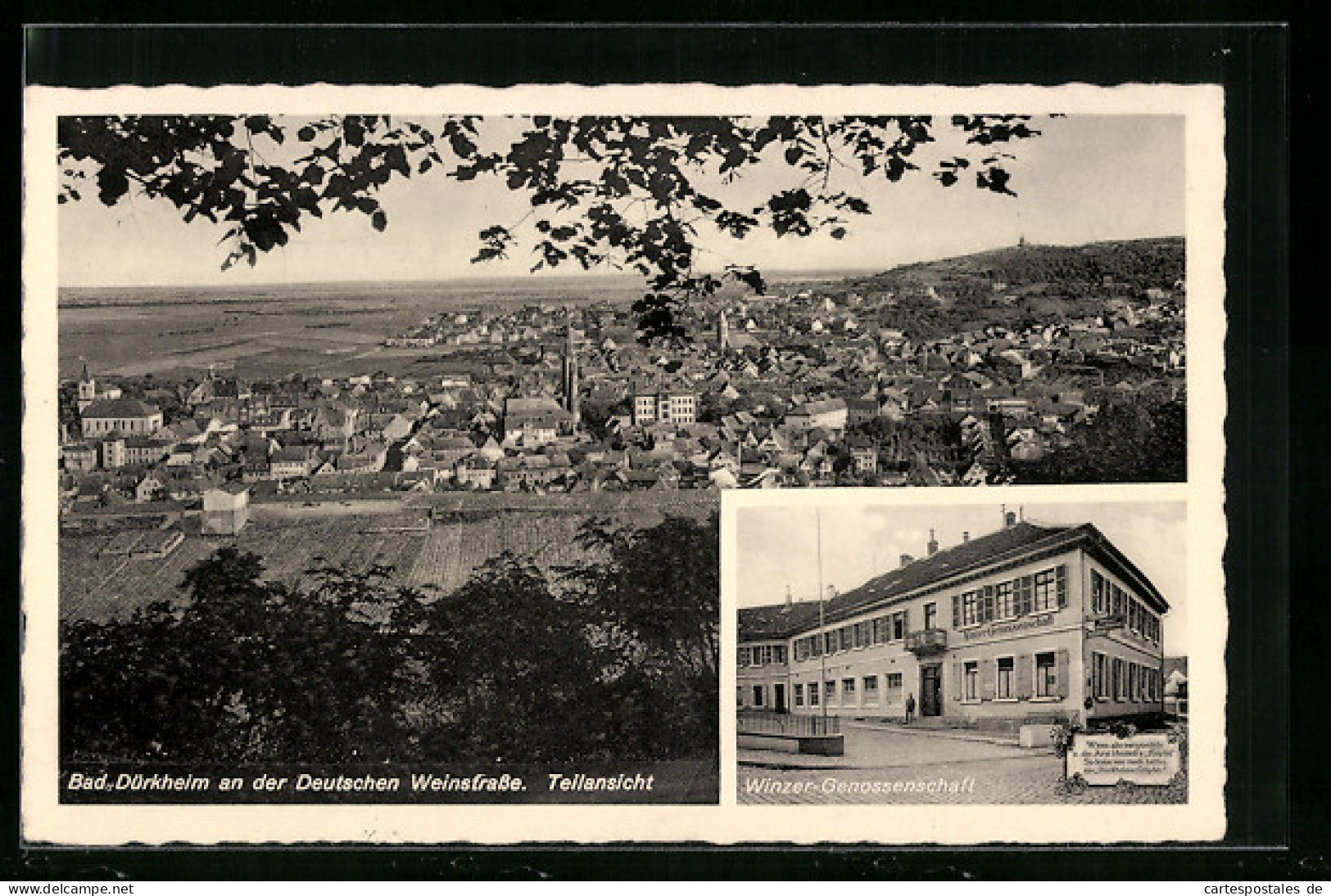 AK Bad Dürkheim, Winzer-Genossenschaft, Ortsansicht Aus Der Vogelschau  - Bad Duerkheim
