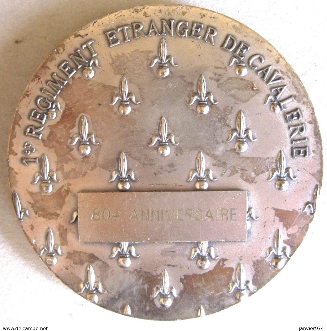 Médaille En Bronze 1er Régiment Étranger De Cavalerie, 80e Anniversaire - Sonstige & Ohne Zuordnung