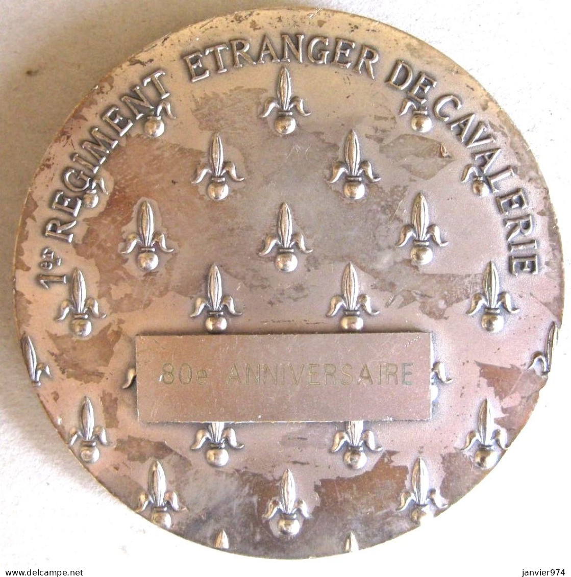 Médaille En Bronze 1er Régiment Étranger De Cavalerie, 80e Anniversaire - Altri & Non Classificati