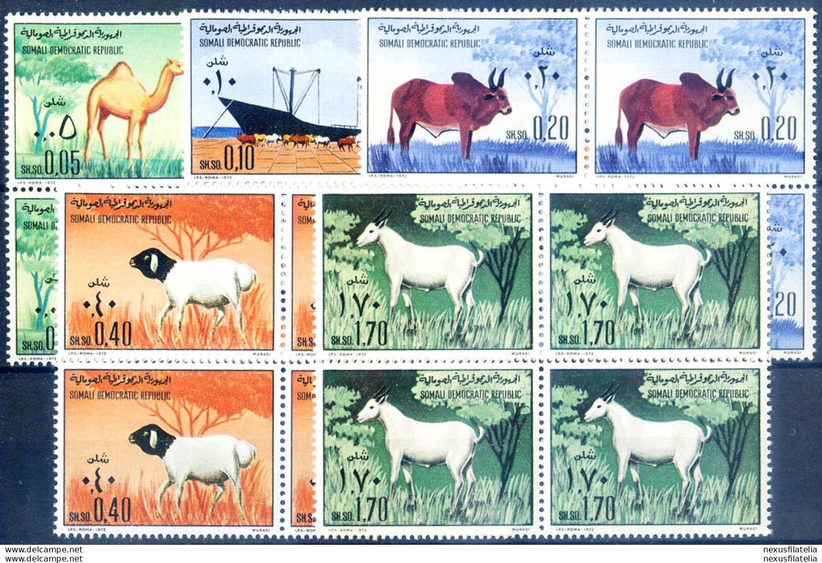 Fauna. Animali Domestici 1972. - Somalia (1960-...)