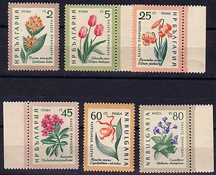 1960 Flora FLOWERS   6 V.-MNH   BULGARIA / Bulgarie - Nuevos