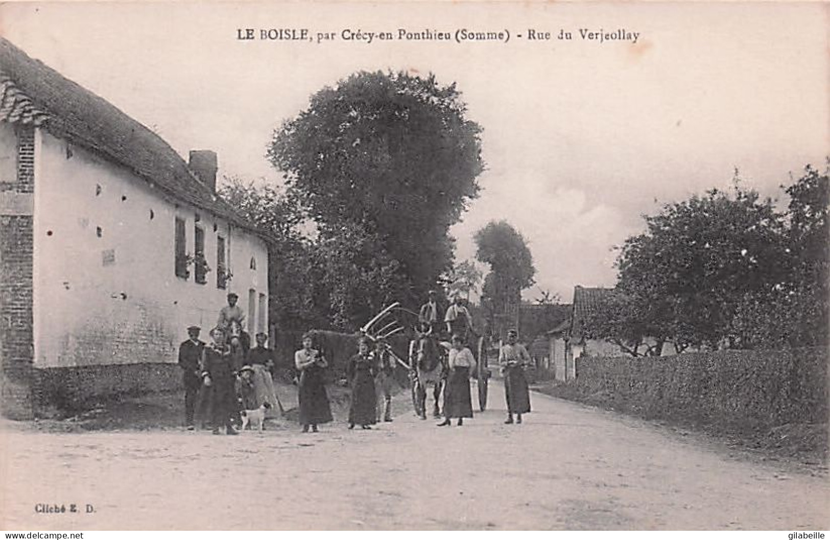 80 - Somme - LE BOISLE Par Crécy En Ponthieu - Rue Du Verjeollay - Crecy En Ponthieu