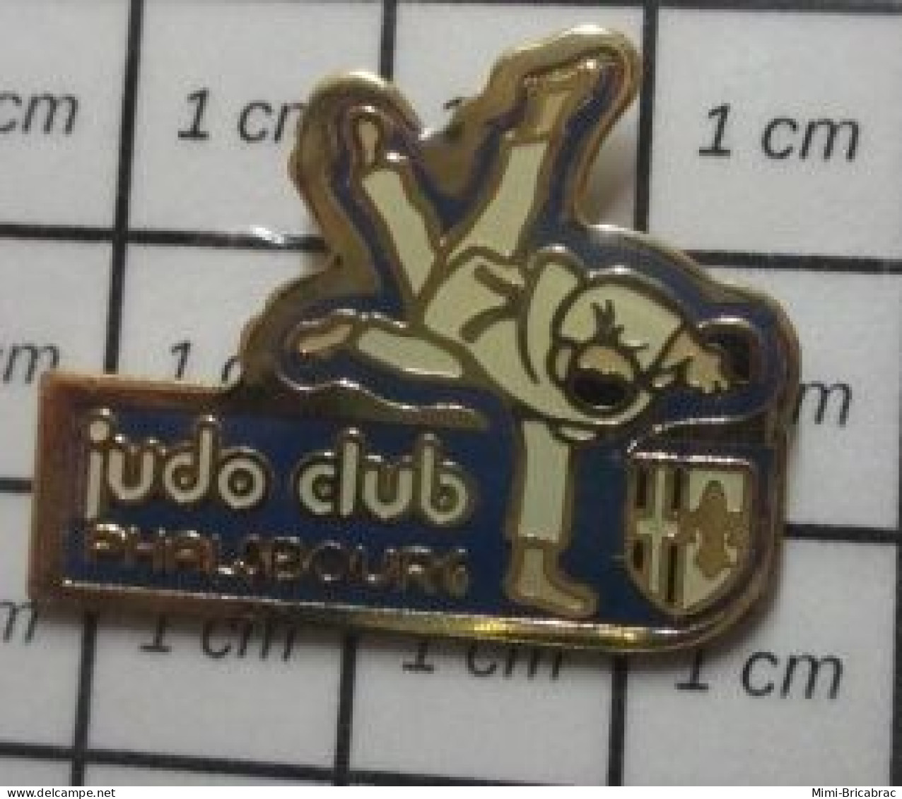 1620 Pin's Pins / Beau Et Rare : SPORTS / JUDO CLUB PHALSBOURG - Judo