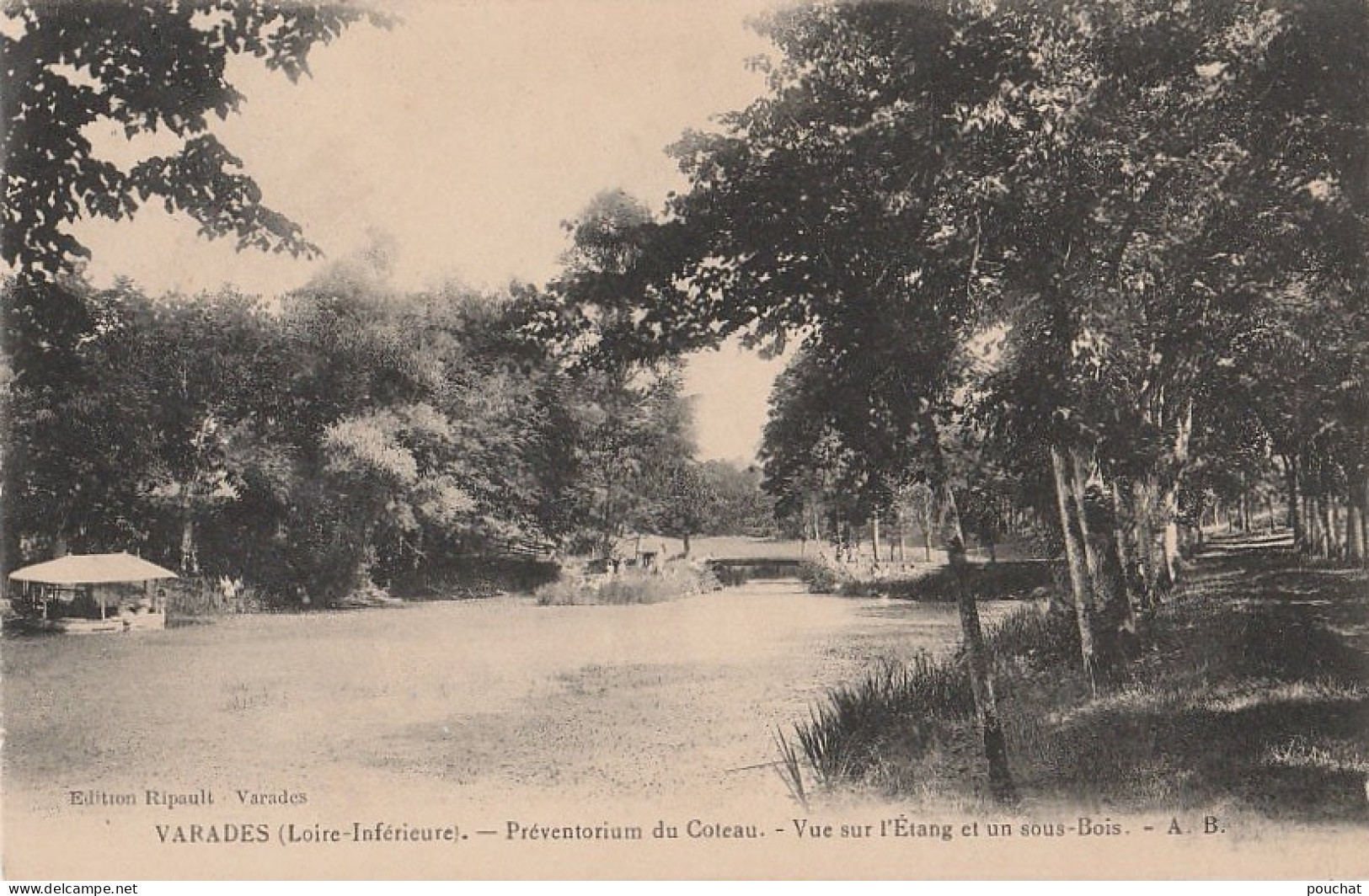 44) VARADES  - PREVENTORIUM DU COTEAU - VUE SUR L ETANG ET UN SOUS BOIS  - (2 SCANS) - Varades