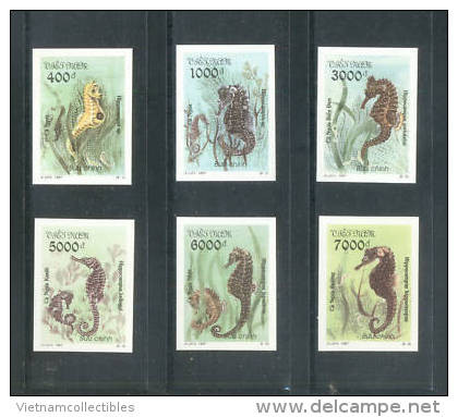 Vietnam Viet Nam MNH Imperf Stamps 1997 : Sea Horse / Marine Life (Ms764) - Vietnam