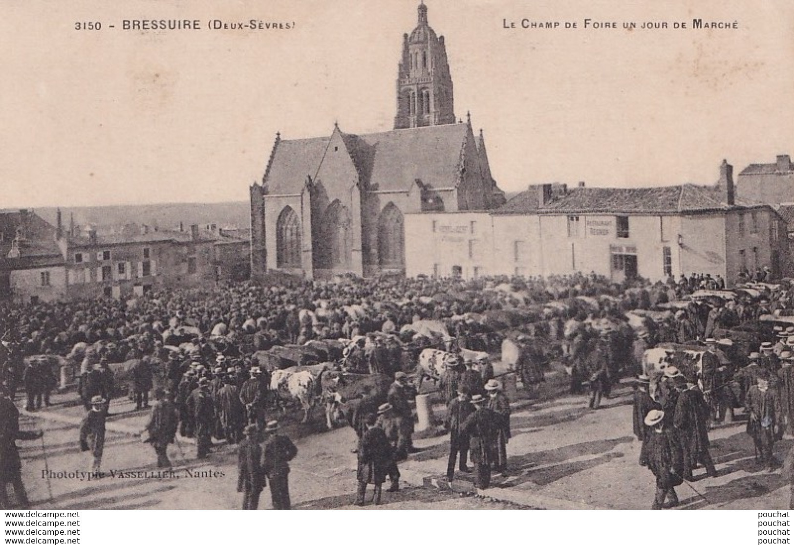 P6-79) BRESSUIRE -  CHAMP DE FOIRE  - JOUR DE MARCHE AUX BOEUFS  - ( ANIMEE - HABITANTS - - MAQUIGNONS - 2 SCANS ) - Bressuire