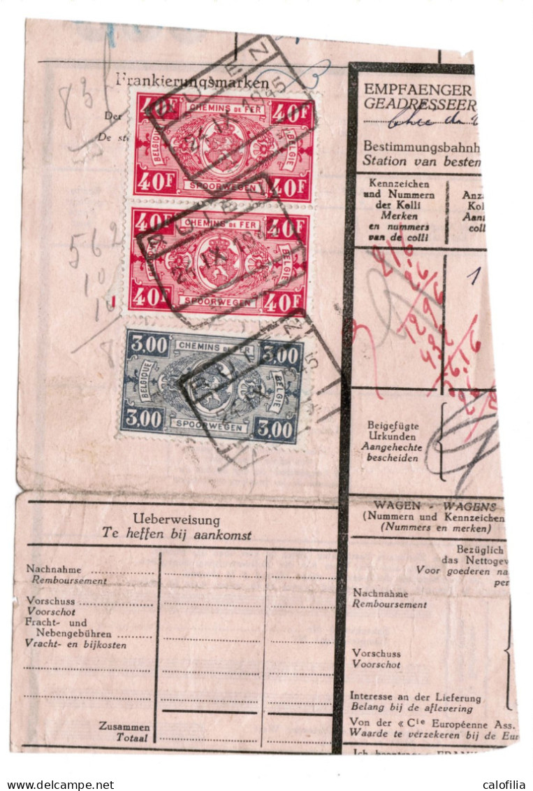 Fragment Bulletin D'expedition, Obliterations Centrale Nettes RUIEN, RARE - Afgestempeld