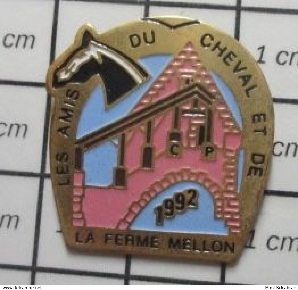 310c Pin's Pins / Beau Et Rare : ASSOCIATIONS / LES AMIS DU CHEVAL DE LA FERME MELLON Je Dis Chapeau ! - Associations