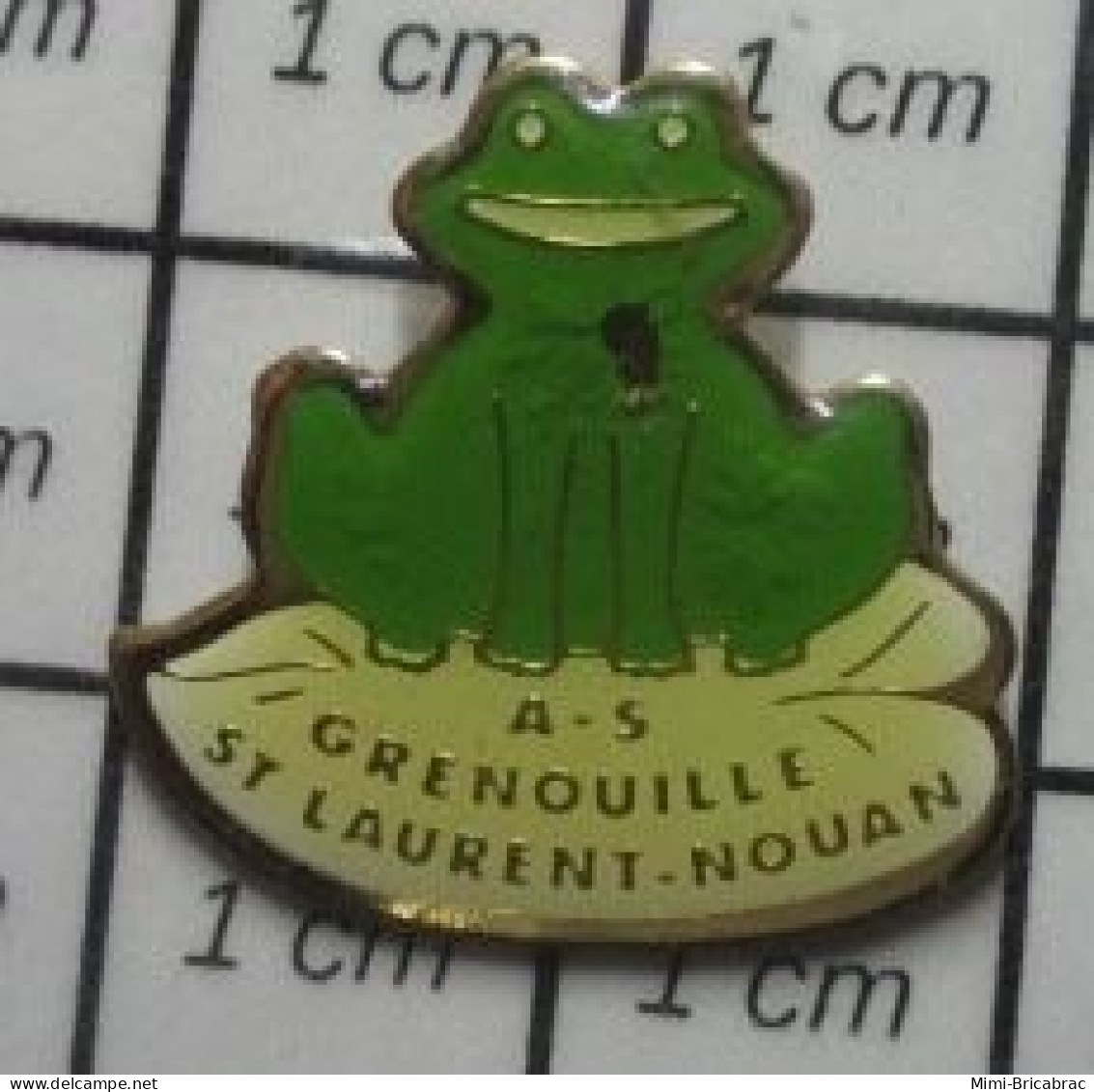 2517 Pin's Pins / Beau Et Rare : ANIMAUX / GRENOUILLE VERTE A.S ST LAURENT NOUAN Quoi , Quoi ! - Animaux