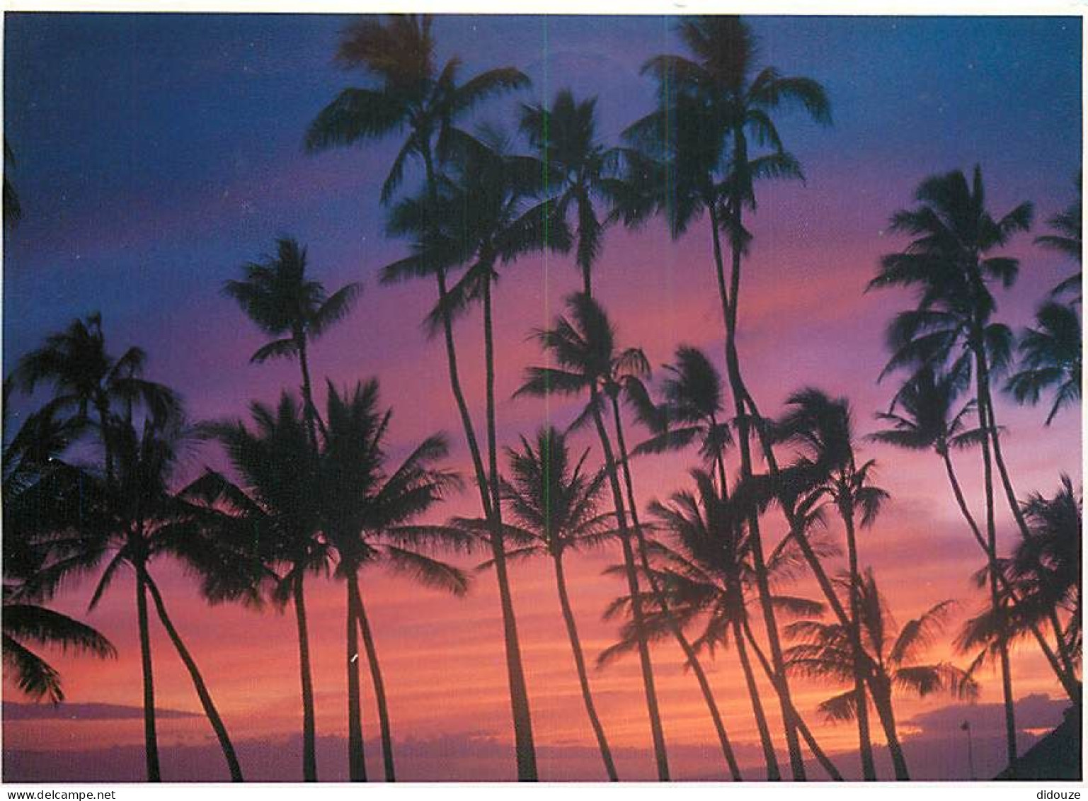 Etats Unis - Hawaï - Honolulu - Waikiki - Dreamy Hawaiian Sunset - The Dreamy Tropical Sky Foretells The Coming Of A Rom - Honolulu