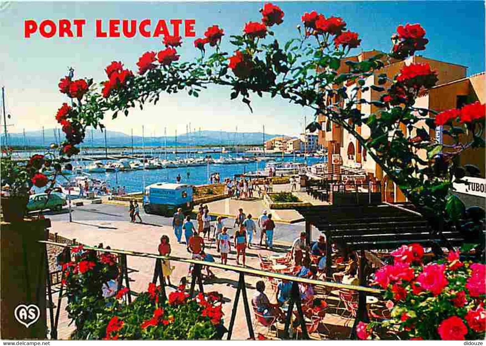 11 - Leucate - Port Leucate - Automobiles - Fleurs - CPM - Voir Scans Recto-Verso - Leucate