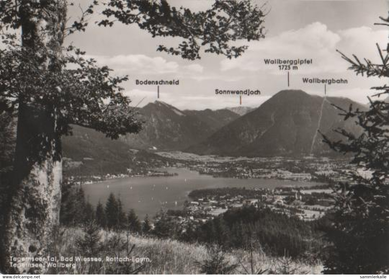 21271 - Tegernsee Mit Wiessee U. Rottach-Egern - Ca. 1965 - Miesbach