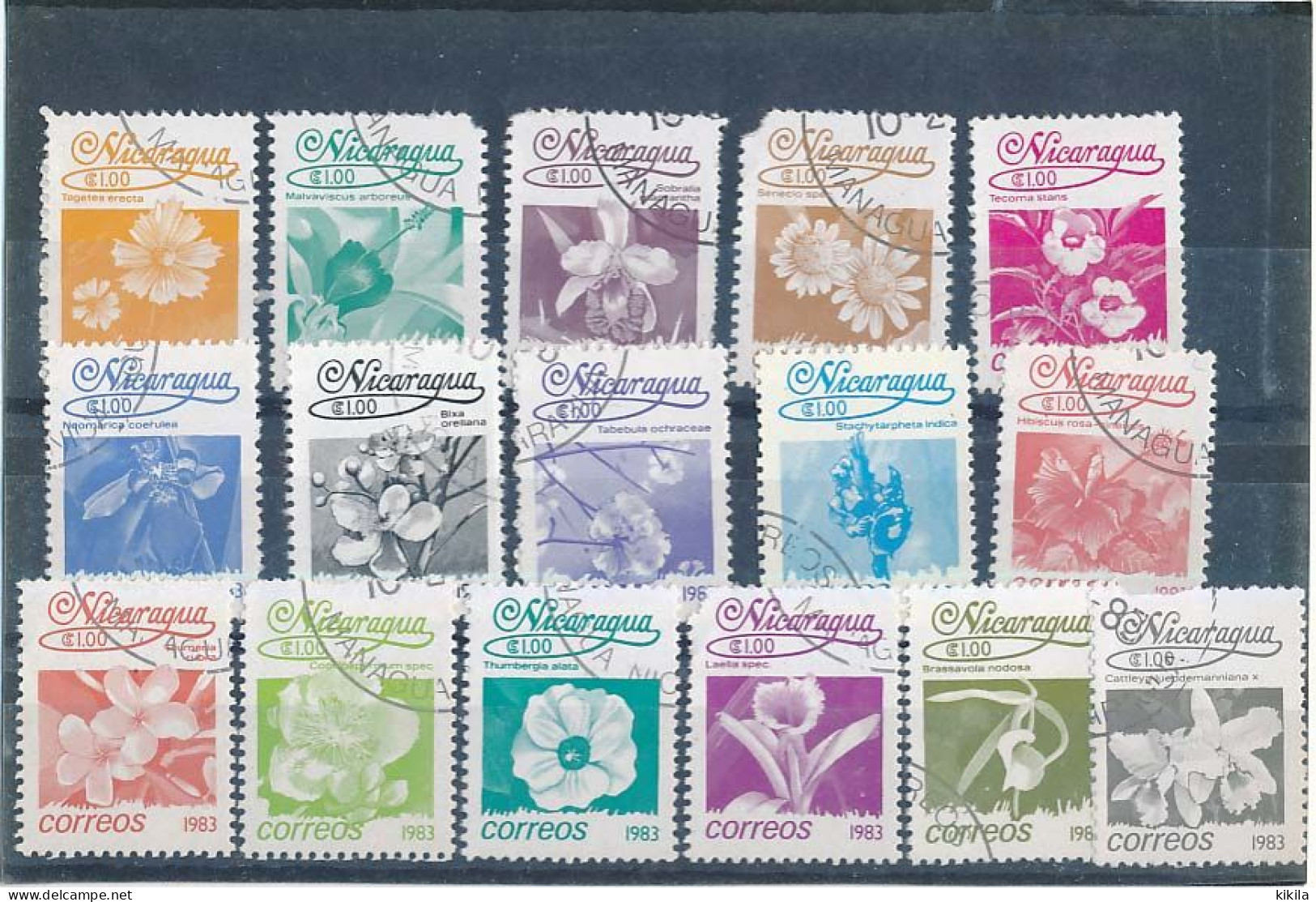 16  Timbres Oblitérés FLEURS Nicaragua XI-7 - Andere & Zonder Classificatie