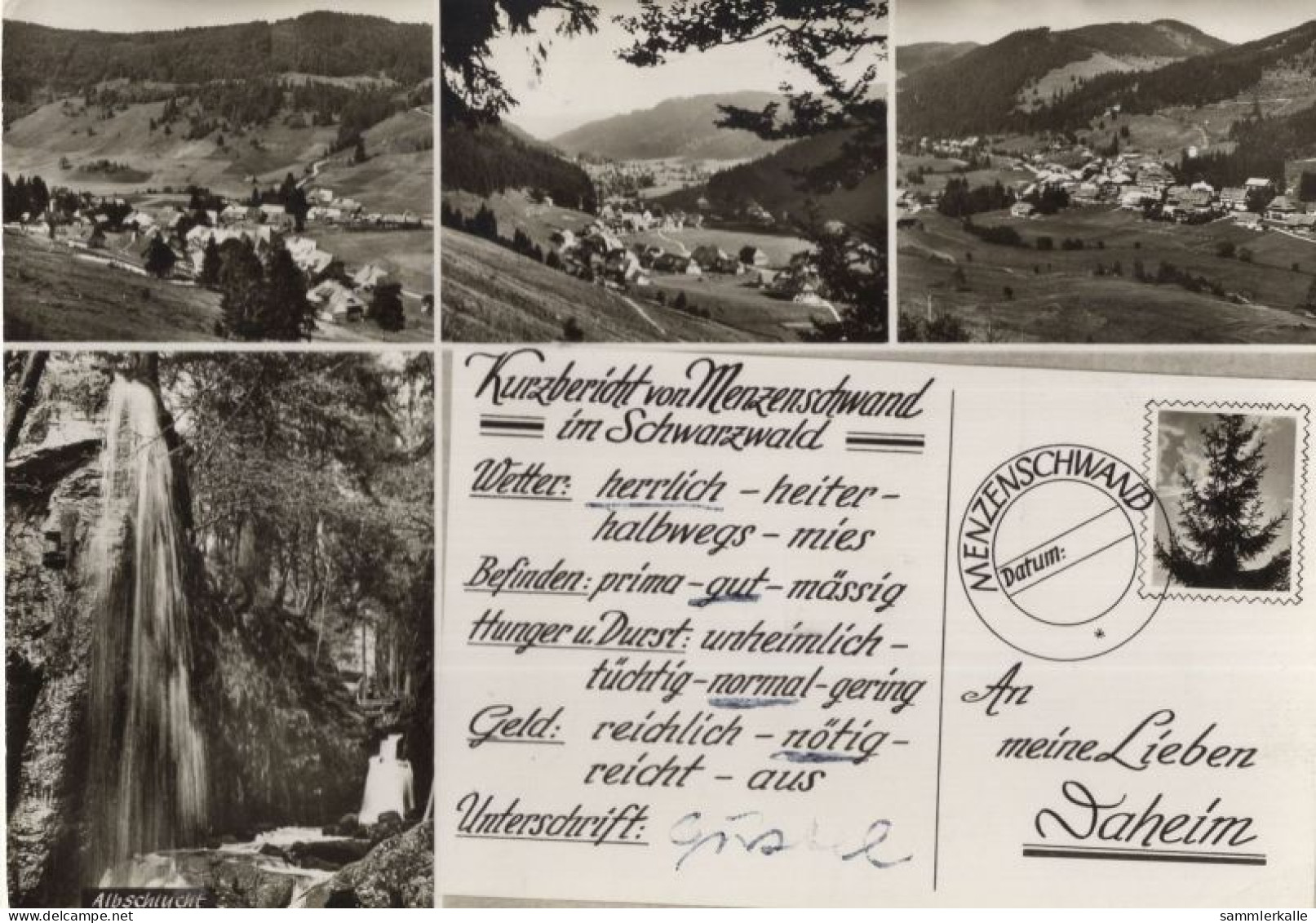 134701 - St. Blasien-Menzenschwand - 4 Bilder - St. Blasien