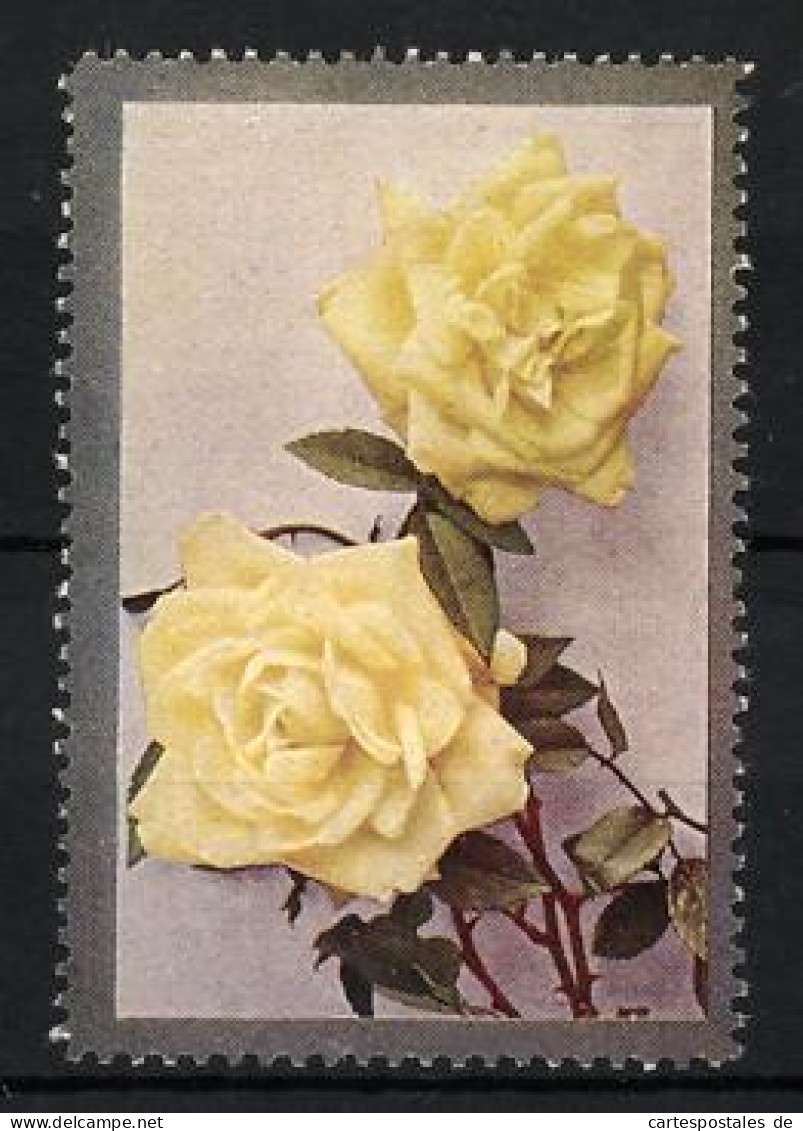 Reklamemarke Zwei Hübsch Blühende Rosen In Gelb  - Erinnofilia