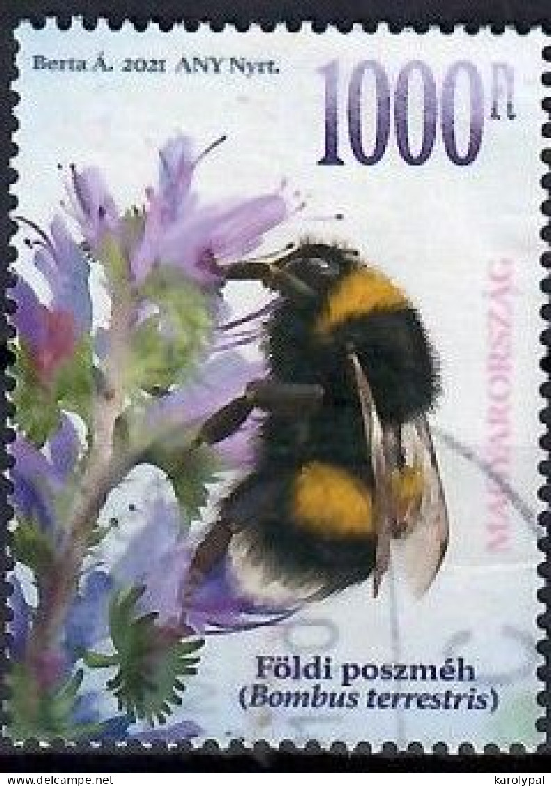 Hungary, 2021, Used, Buff-Tailed Bumblebee (Bombus Terrestris)  Mi..  Nr.6196A, - Usados