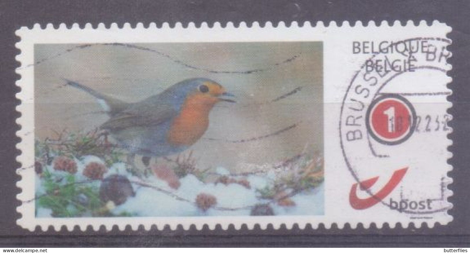 België - Duostamp - Vogels - Roodborstje  - Zonder Papierresten - Oblitérés