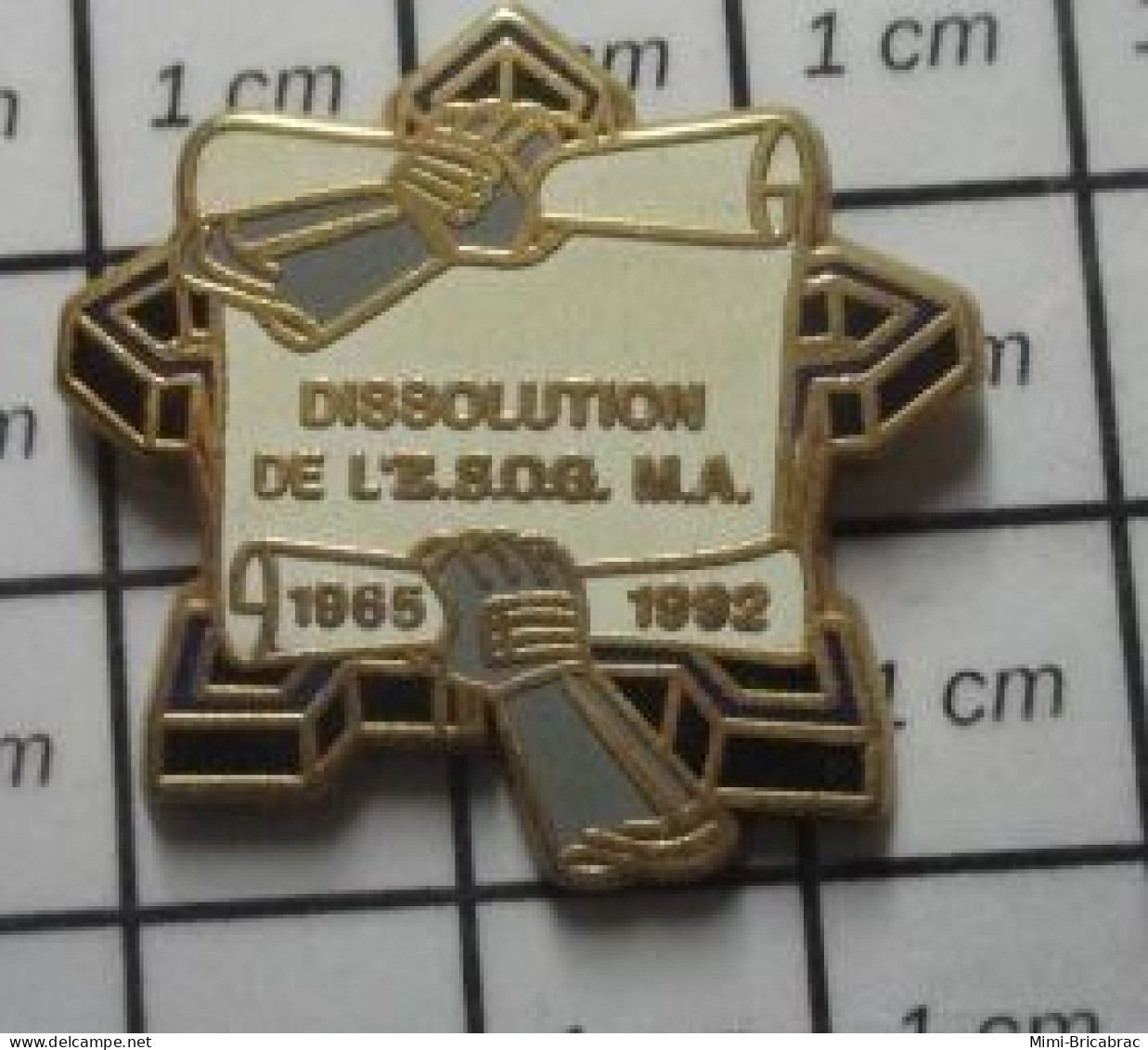 421 Pin's Pins / Beau Et Rare : MILITARIA / VAUGAN GENDARMERIE NATIONALE DISSOLUTION ESOG M.A. Par BOUSSEMART - Militari