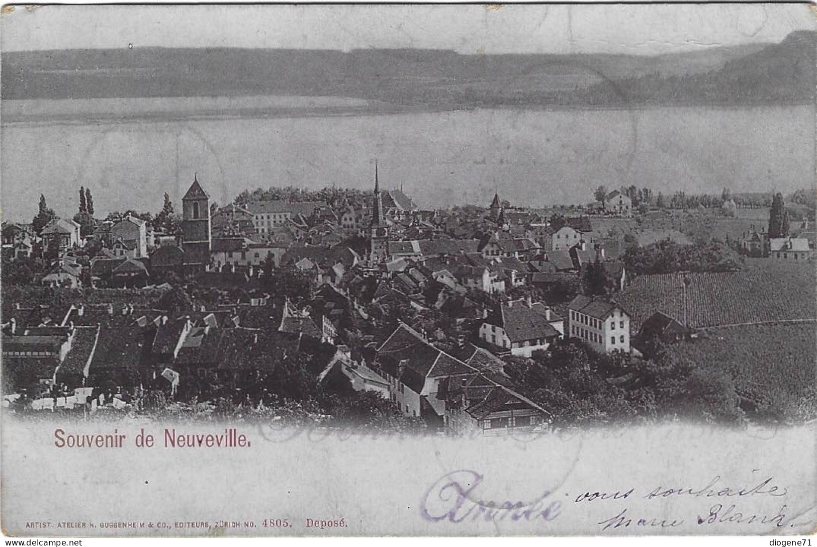 Souvenir De Neuveville 1901 - La Neuveville