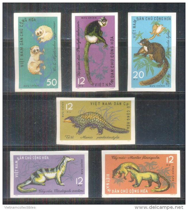 North Vietnam MNH Imperf Stamps 1965 : Wild Animals / Civet / Monkey / Loris / Squirrel (Ms164) - Vietnam