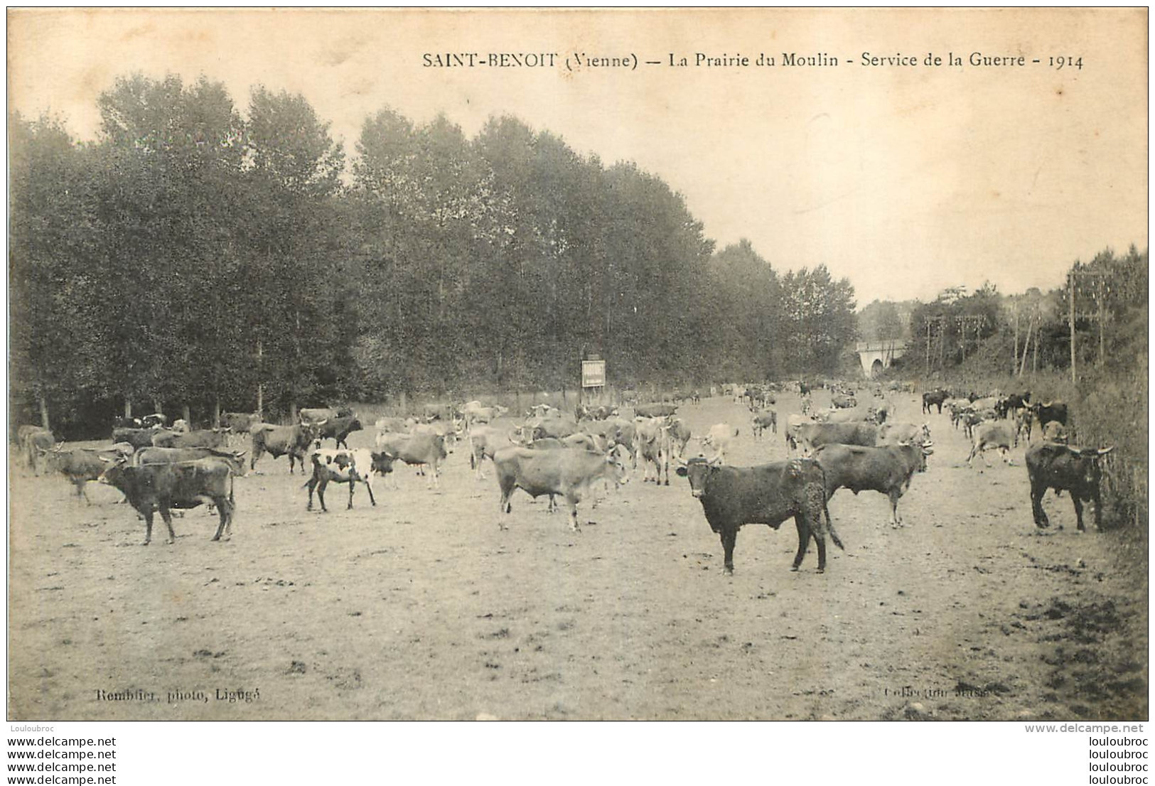 SAINT BENOIT LA PRAIRIE DU MOULIN SERVICE DE LA GUERRE 1914 - Saint Benoît