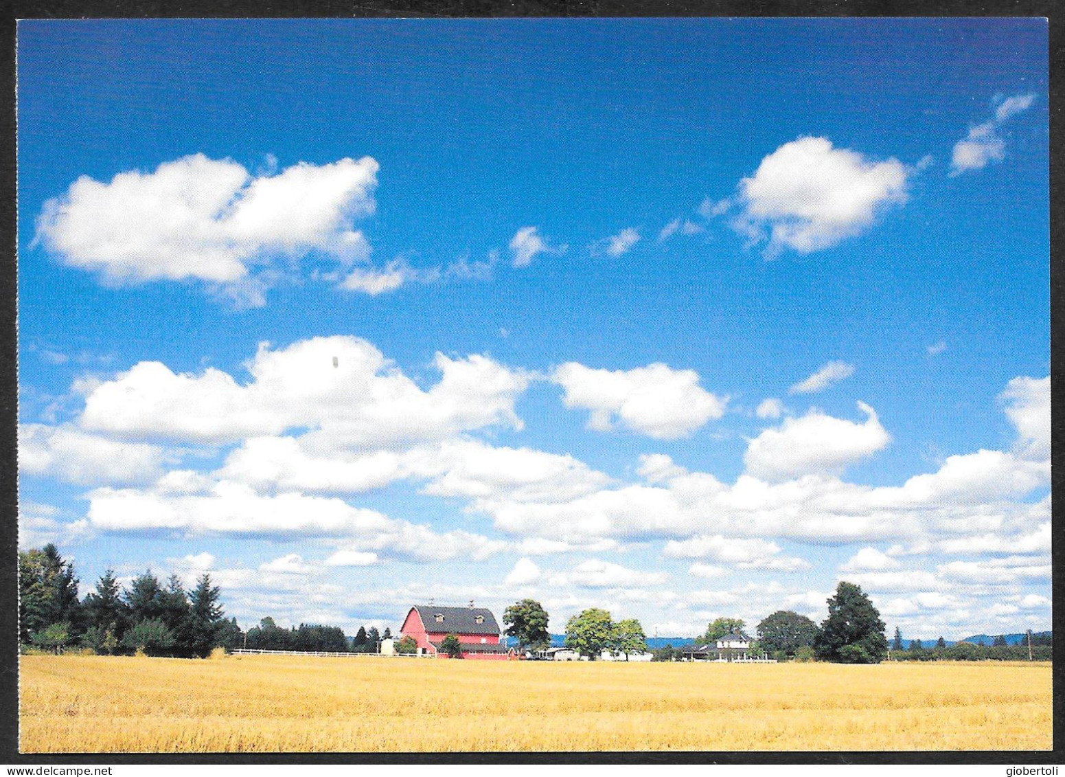 Stati Uniti/United States/États Unis: Intero, Stationery, Entier, Le Nuvole, The Clouds, Des Nuages (Cumulus Humilis) - Climate & Meteorology