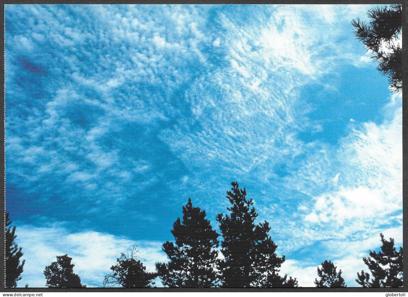 Stati Uniti/United States/États Unis: Intero, Stationery, Entier, Le Nuvole, The Clouds, Des Nuages (Cirrocumulus Undula - Clima & Meteorología