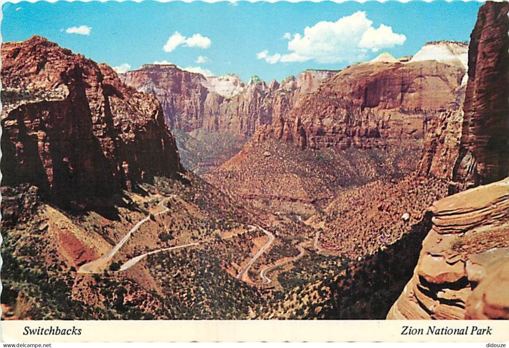 Etats Unis - Zion National Park - Switchbacks - Etat De Utah - Utah State - Carte Dentelée - CPSM Grand Format - Carte N - Zion