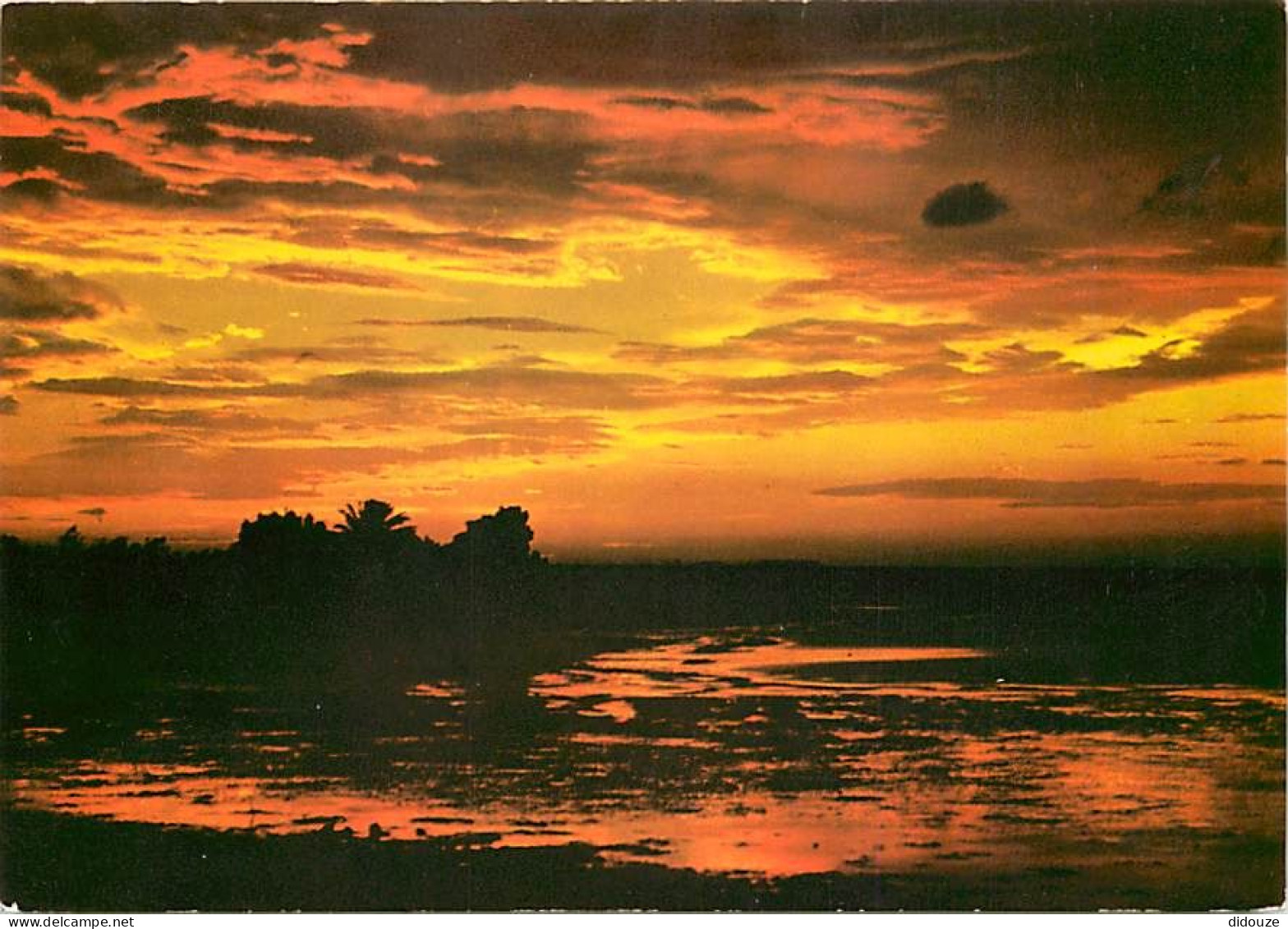 Coucher De Soleil - CPM - Voir Scans Recto-Verso - Hold To Light