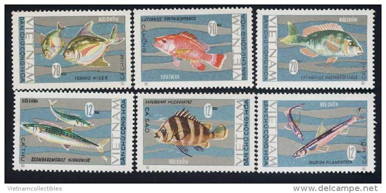 North Vietnam Viet Nam MNH Perf Stamps 1967 : Salt-water Fishes / Fish (Ms206) - Vietnam