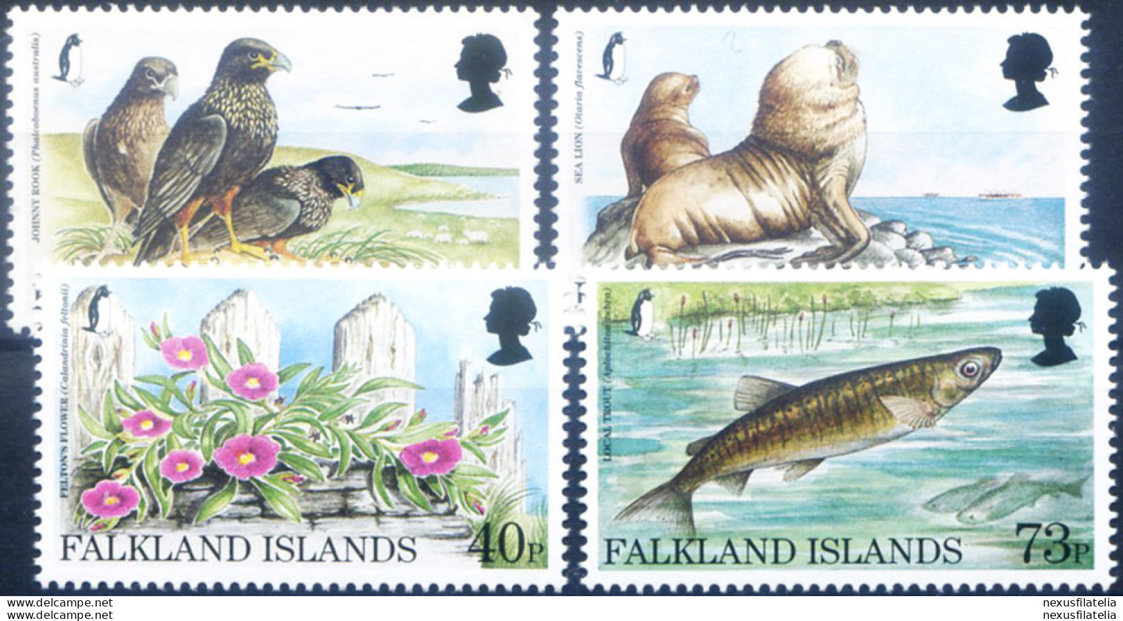Flora E Fauna 1997. - Falklandeilanden