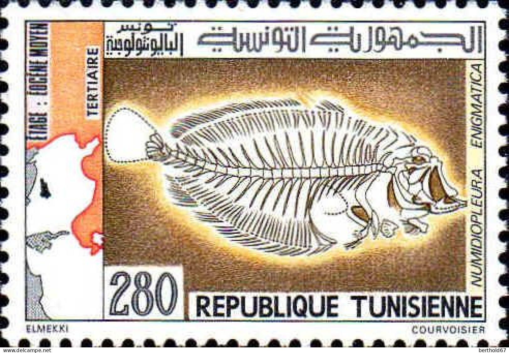 Tunisie (Rep) Poste N** Yv: 968 Mi:1031 Numidiopleura Enigmatica Fossile - Tunisia (1956-...)