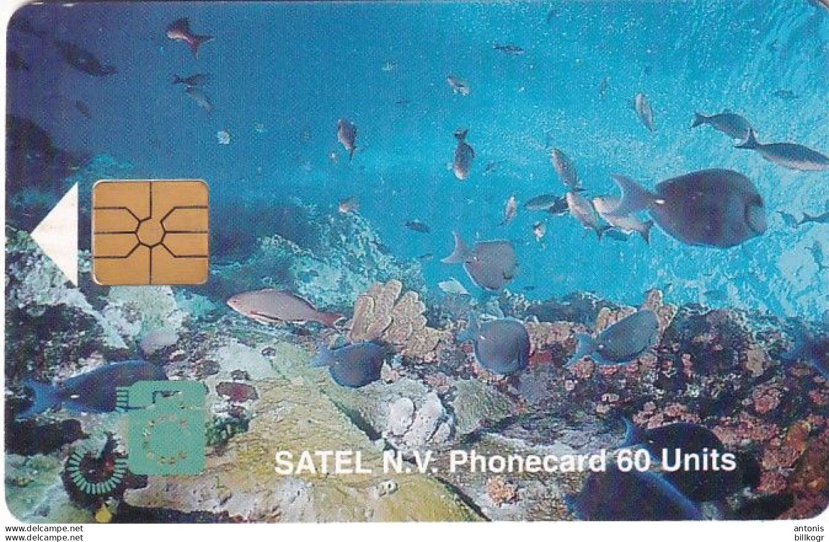 SABA(NETH. ANTILLES) - Marine Life, First Chip Issue 60 Units, Tirage 2000, 10/96, Used - Antillen (Niederländische)