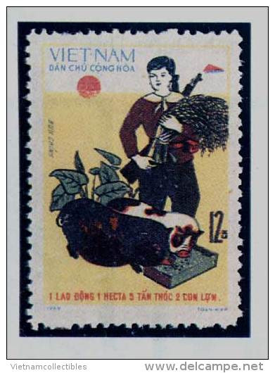 North Vietnam Viet Nam MNH Stamp 1970 : Agriculture / Pig (Ms243) - Vietnam