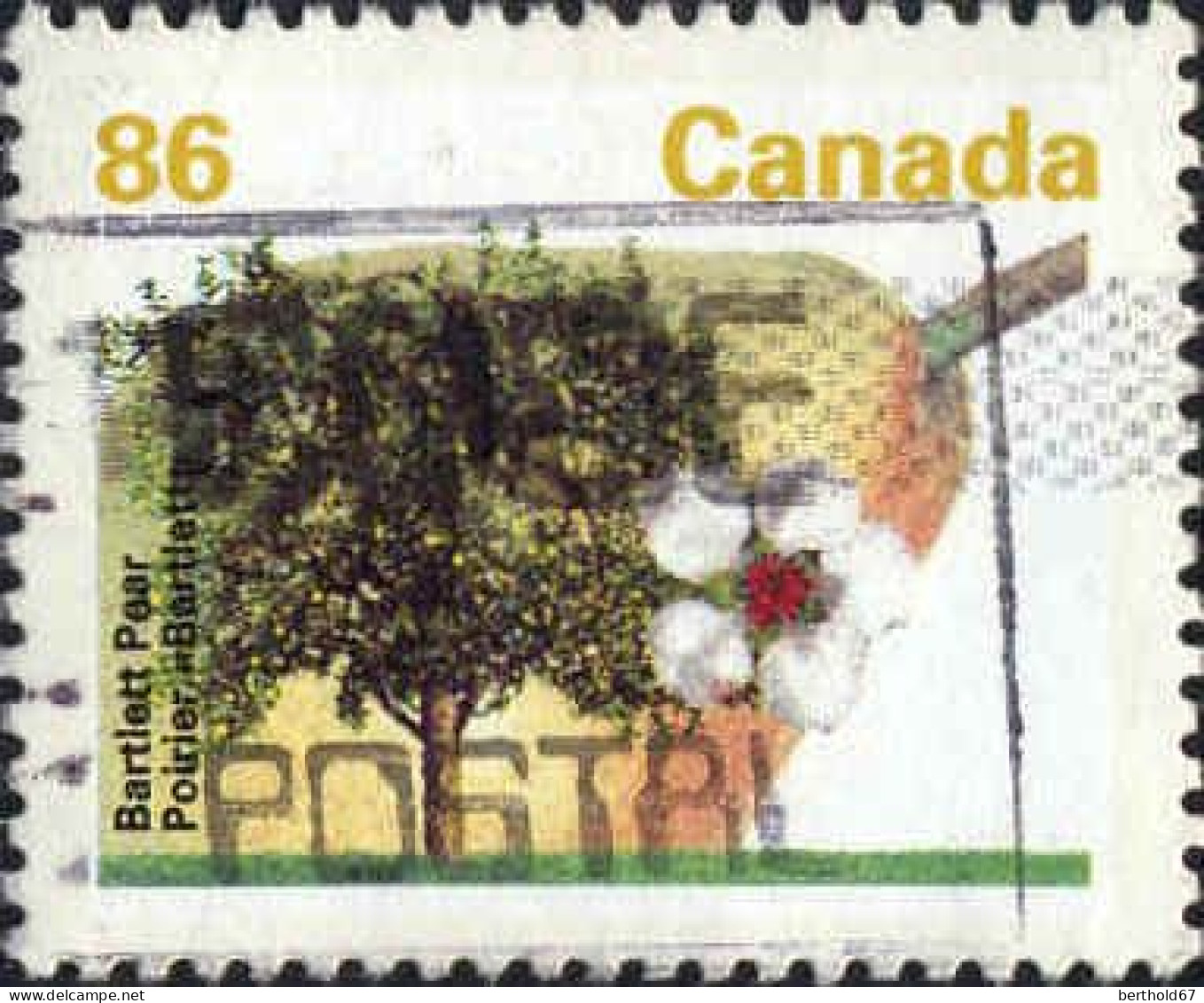 Canada Poste Obl Yv:1295 Mi:1342A Bartlett Pear Poirier Bartlett (Belle Obl.mécanique) - Usati