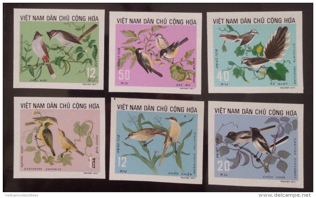 North Vietnam Viet Nam MNH Imperf Stamps 1973 : Bird / Birds Useful To Agriculture (Ms278) - Vietnam