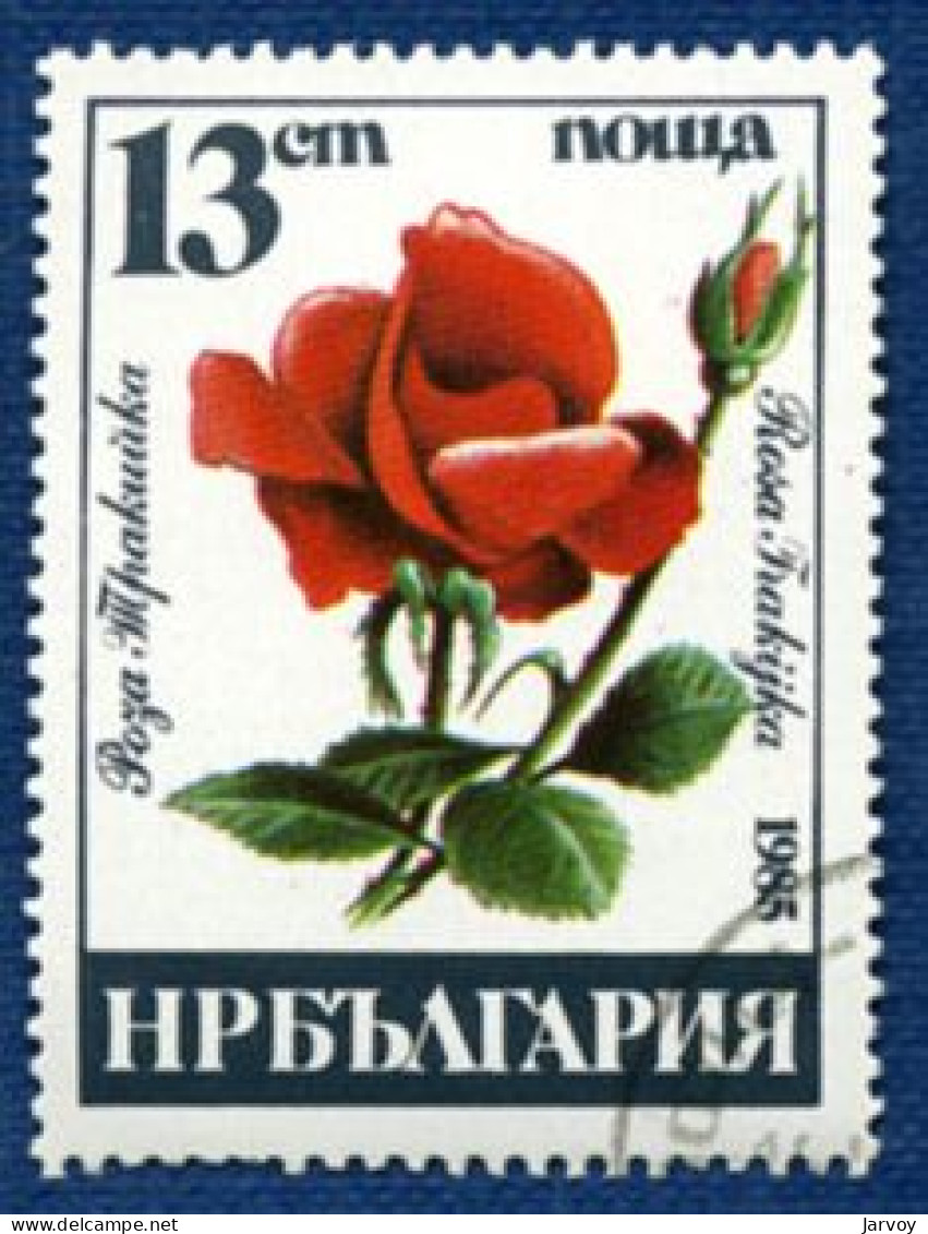 Bulgarie 1956 à 1988, Fruits, Légumes, Fleurs (19 Timbres - O) - Usati