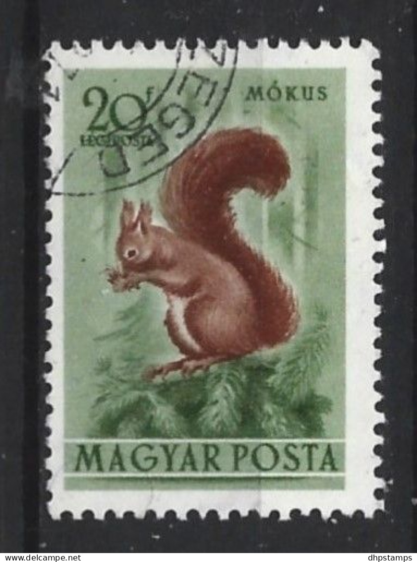 Hungary 1953 Fauna Y.T.  A136 (0) - Usati