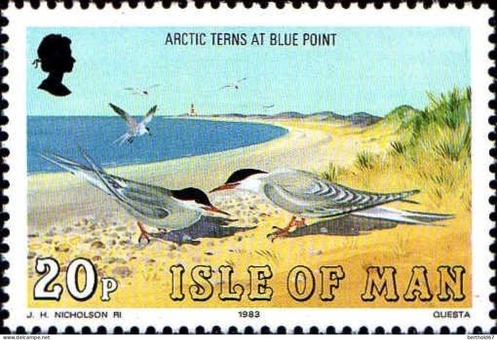 Man Poste N** Yv:241 Mi:232 Arctic Terns At Blue Point - Isla De Man