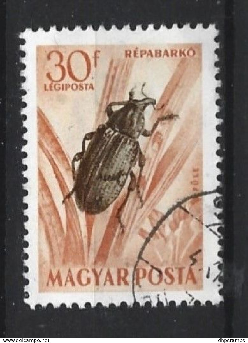 Hungary 1954 Insect Y.T.  A160 (0) - Gebruikt