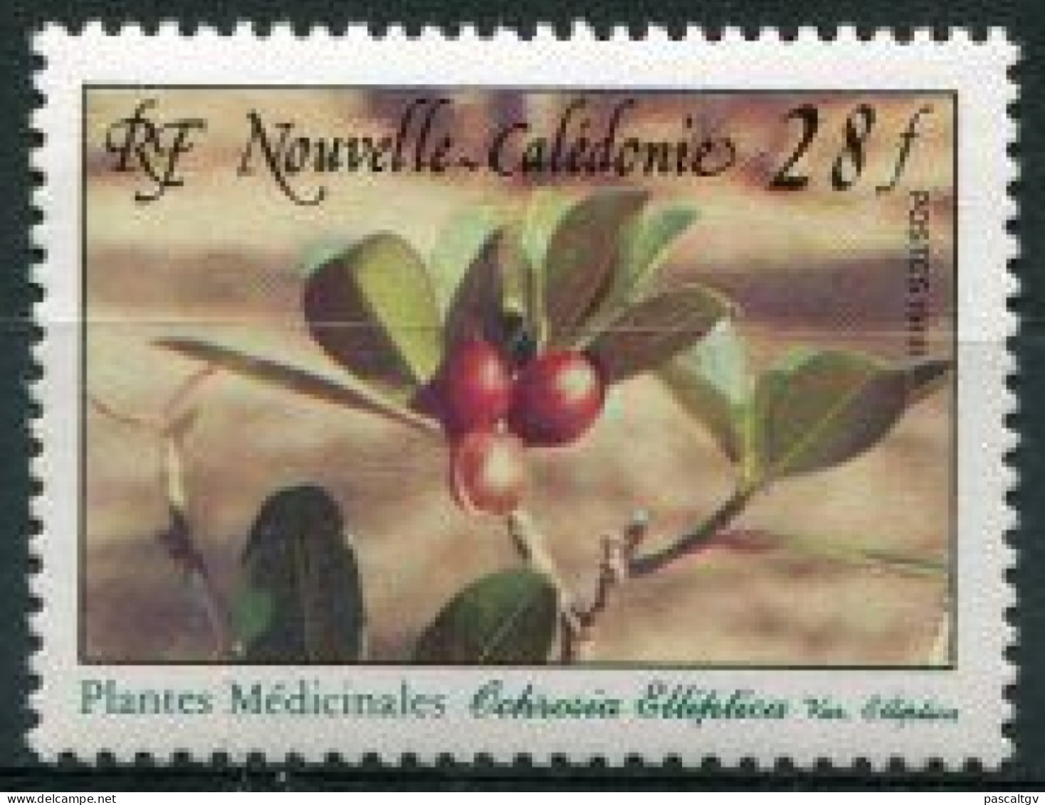 Nouvelle Calédonie - 1988 - N°556 ** - Ongebruikt