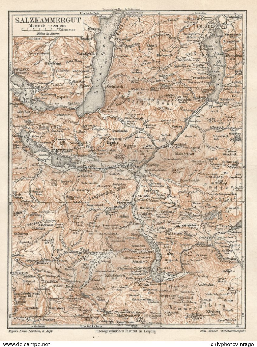 1890 Austria, Salzkammergut And Surroundings, Carta Geografica Antica, Old Map, Carte Géographique Ancienne - Carte Geographique