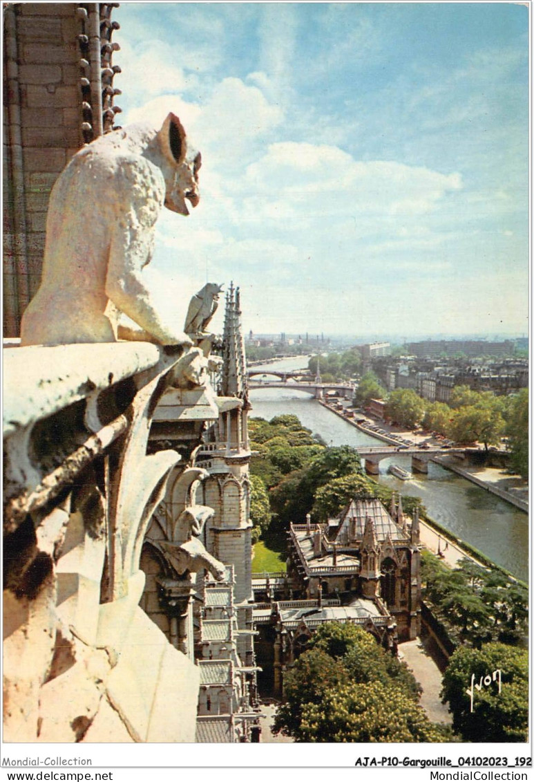 AJAP10-GARGOUILLE-0989 - PARIS - Panorama Pris Des Tours De Notre-dame  - Autres & Non Classés