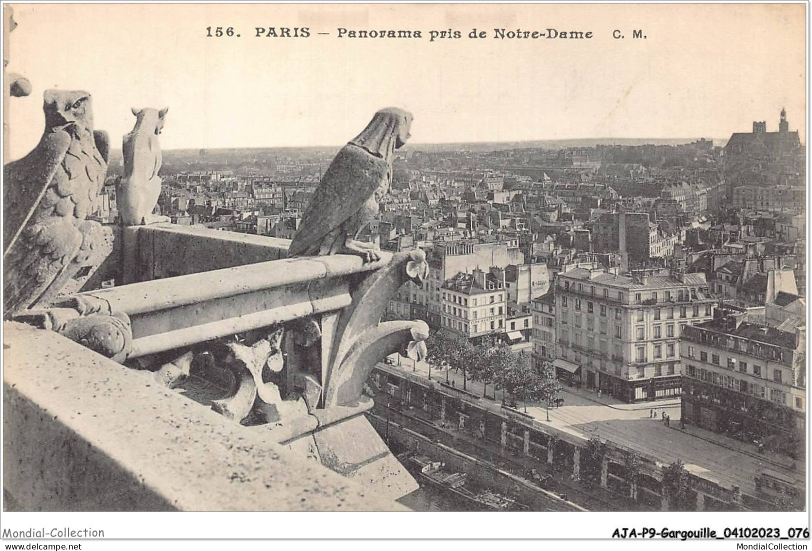 AJAP9-GARGOUILLE-0802 - PARIS - Panorama Pris De Notre-dame  - Autres & Non Classés
