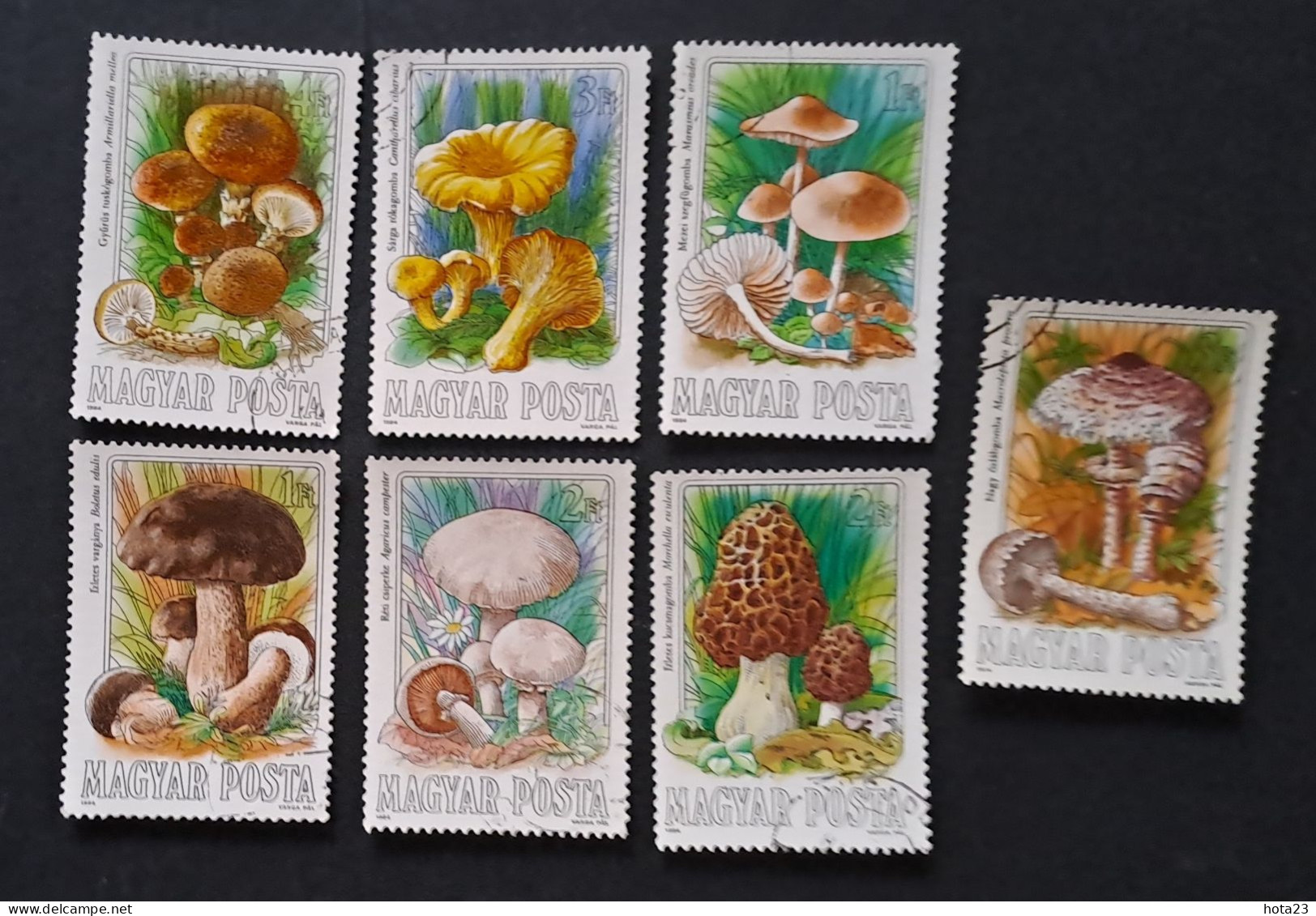 HUNGARY 1984 EDIBLE MUSHROOMS Mi3708-3714 Used Stamp Set - Champignons