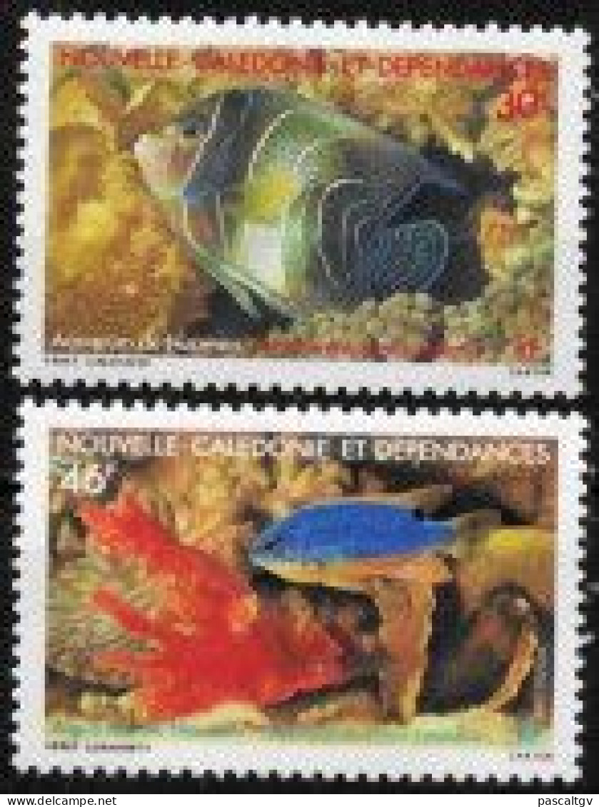 Nouvelle Calédonie - 1988 - Paire N°551/552 ** - Neufs