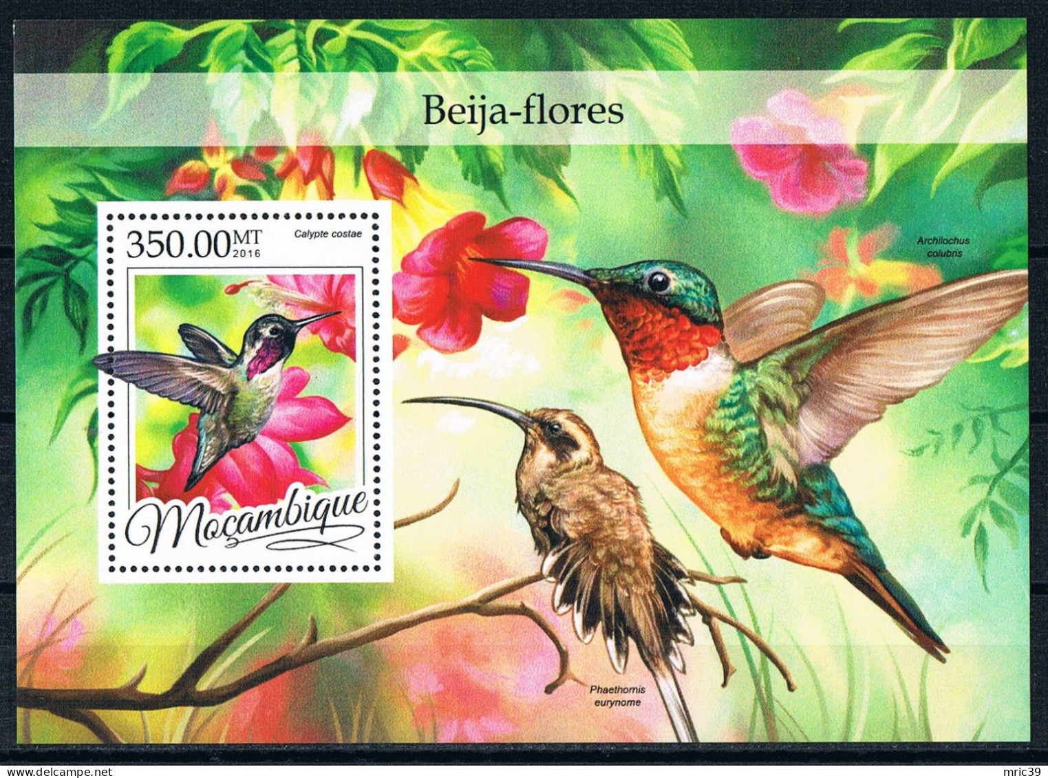 Bloc Sheet Oiseaux Birds Colibris Neuf  MNH ** Mozambique 2016 - Segler & Kolibris