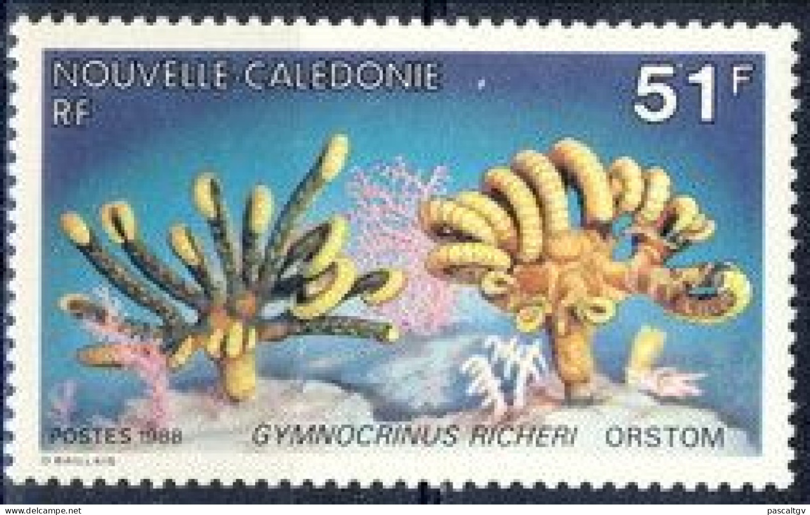 Nouvelle Calédonie - 1988 - N°557 ** - Ongebruikt