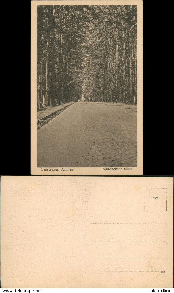 Postkaart Arnheim Arnhem Omstreken Arnhem Middachter Allée 1920 - Arnhem
